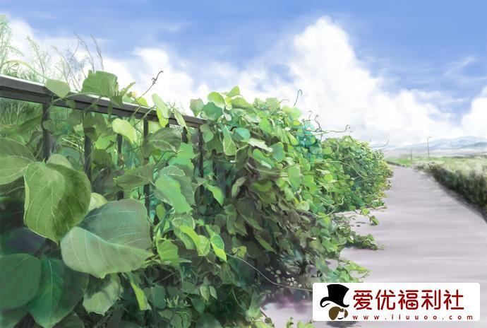高质量公路多汁多肉的糙汉烈途文讲述了什么内容？甜腻又上头-5