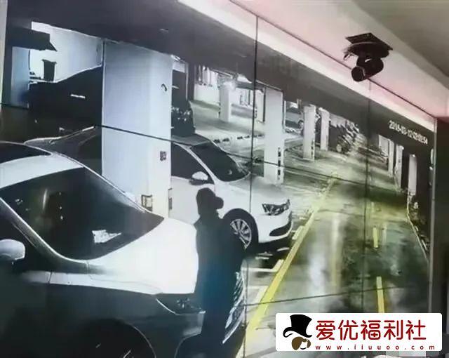 寻求刺激！燕山大学地下车库29分钟视频流出 女主身材不输花店老板娘-2