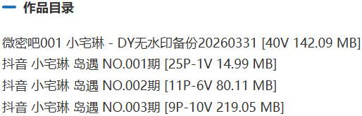 小宅琳 – 微密圈/岛遇等写真&视频合集【持续更新中】-2
